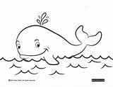 Coloring Sperm Whale Whales Getcolorings Pages Getdrawings sketch template