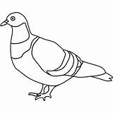 Taube Ausmalbild Ausmalen Tauben Ausdrucken Malvorlagen Ausmalbilder Friedenstaube Schwer sketch template