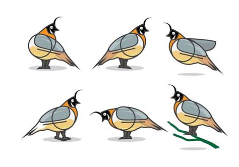 quail flat vector illustration stock images page everypixel