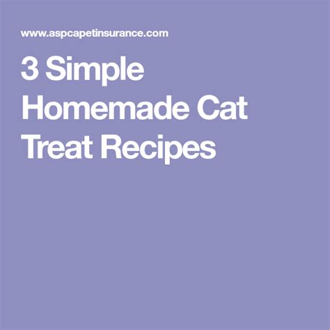 3 Simple Homemade Cat Treat Recipes Homemade Cat Treats Recipes Cat