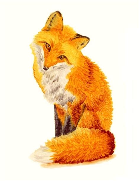 red fox drawing wwwpixsharkcom images galleries   bite