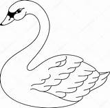 Swan Coloring Pages Printable Drawing Stock Illustration Vector Lake Bird Template Colouring Patterns Google Crafts Da Easy Depositphotos Tr sketch template