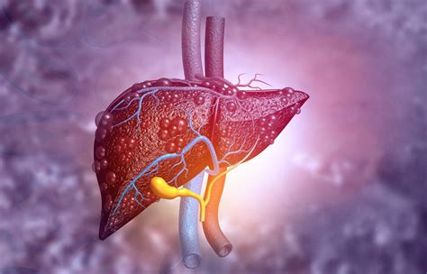 functional humanized liver  mice boosts liver research