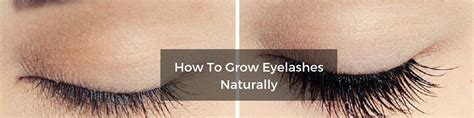 grow eyelashes naturally  infallible tips skin care products