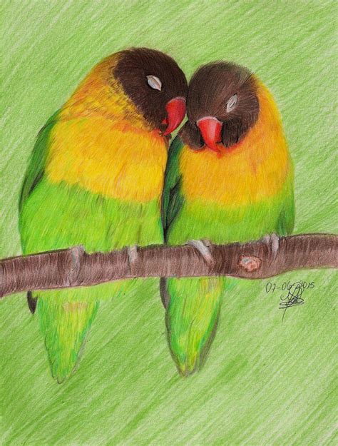 colourful birds  andreinadeviantartcom  atdeviantart colorful