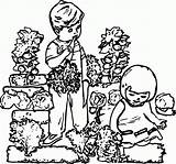 Coloring Garden Children Popular Coloringhome sketch template