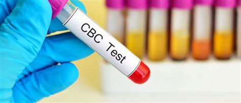 cbc complete blood count test  pregnancy