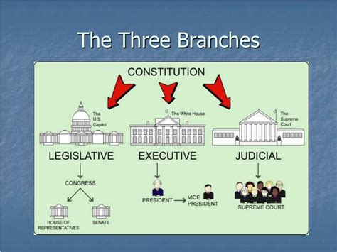 branches   american government powerpoint
