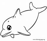 Dolphin Coloring Pages Swimming Dolphins Colouring Baby Happy Printable Cute Print Ocean Clipartmag sketch template