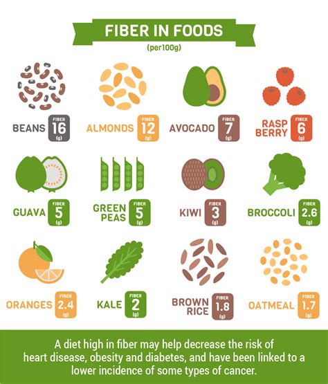 high fiber foods   health infographic