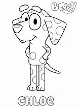 Bluey Coloring Pages Chloe Printable Dalmatian Kids Coloring4free Film Tv Coco Snickers Mackenzie Fun Related Votes Chilli Coloringonly House sketch template