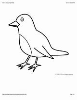 Coloring Pages Bird Robin Super Discover sketch template
