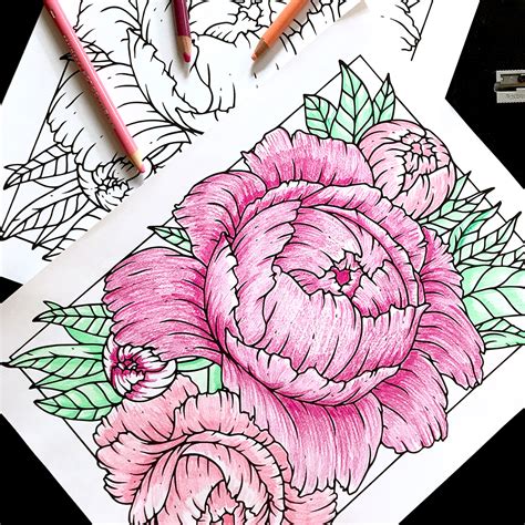 coloring page  peonies boelter design