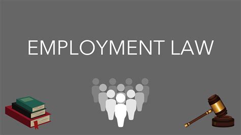 employment law basics   hr