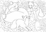 Colouring Foxes Scene Pages British Wildlife Fox Colour sketch template