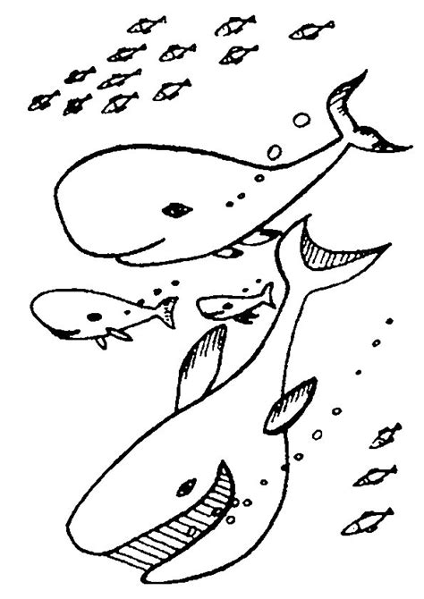 sea animals coloring pages coloringpagescom