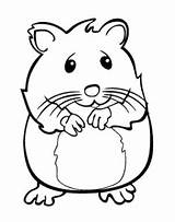 Hamster Ausmalbilder Kostenlos Ausmalen Ausdrucken Humphrey Malvorlagen хомяк Haustiere раскраска раскраски распечатать Vorlagen sketch template