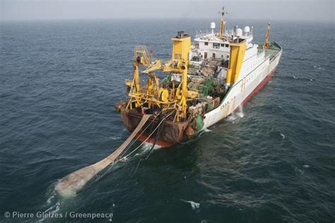 monsters   oceans  criminal super trawlers  threaten  waters greenpeace