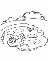 Pond Coloring Pages Lake Water Ecosystem Lily Drawing Printable Cycle Sheet Pollution Ocean Animals Frog Kids Color Carbon Getdrawings Bottle sketch template