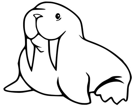 walrus coloring page