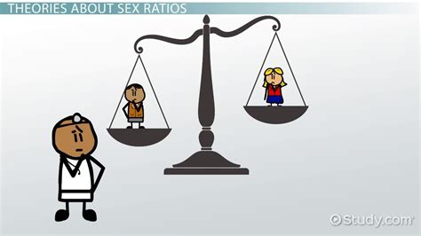 Sex Ratio Definition Calculations And Interpretations