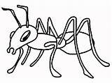 Ant Coloring Printable Pages Ants sketch template