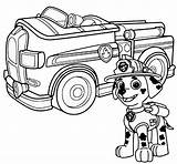 Coloring Paw Patrol Popular sketch template