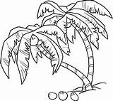 Palmeras Palm Dibujos Coqueiro Palmera Pomi Arbustos Cocos Desene Palmas Arboles Tropicales Colorea Colorat Terrestres Landscapes Vacaciones Illustrative Palms Hawaiian sketch template