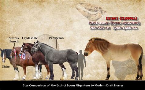giant horse equus giganteus ancient animals extinct animals