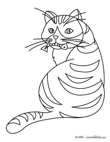 cat eating  fish coloring page nice cat drawing  kids