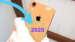 Why iPhone XR is the best iPhone to buy 2020