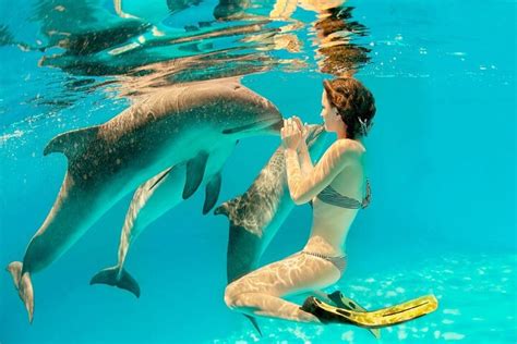 tripadvisor zwemmen met dolfijn  min happy dolphin met transfer hurghada aangeboden door