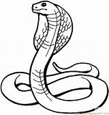 Cobra King Snake Coloring Printable Pages Color Reptile Kids Coloriage sketch template