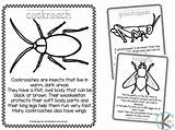Insects Insect sketch template