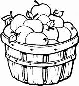 Coloring Pages Fall Apple Apples Clipart sketch template