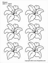 Firstpalette Lilies Embroidery sketch template