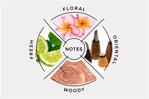 perfume fragrance classification  categories scentbird perfume  cologne blog