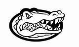 Gators Gator Coloring Clipartmag Clipground sketch template