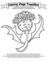 Scottish Coloring Pages Terrier Getcolorings sketch template