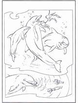 Delfine Dolfijnen Dauphin Delfini Wassertiere Ausmalbilder Coloriage Acquatici Pubblicità Publicité Waterdieren Advertentie Tiere Anzeige sketch template