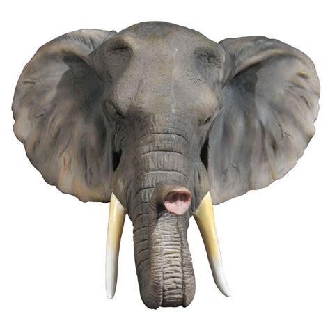 elephant head  stdibs