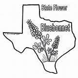Texas Bluebonnet Coloring Bluebonnets Pages Sheets Color Longhorn Flag Print Bob Book Drawings State Drawing Blue Printable Sheet Bonnets Line sketch template