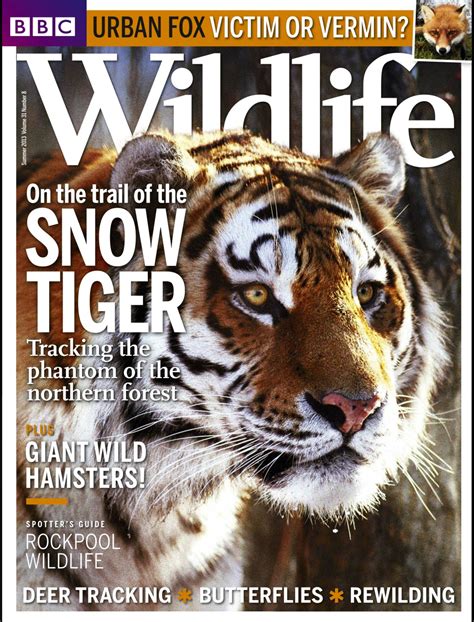 bbc wildlife magazine summer   issue