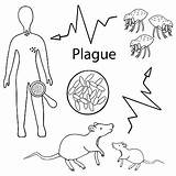 Plague Bubonic Infection Warning Bacterium Flea Outline sketch template