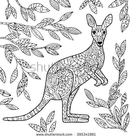 vector kangaroo illustration adult coloring page animal coloring