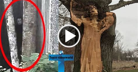 top 10 real scary ghost sightings caught on camera