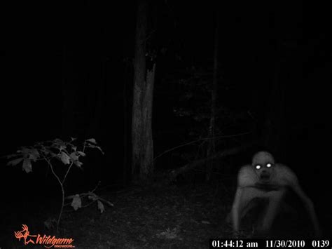 What Is That Forest Ghoul Caught On Camera In Dead Of