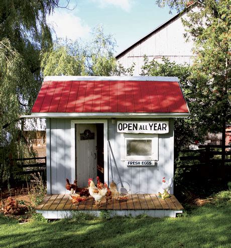 unconventional   stylish chicken coop ideas