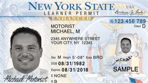 york dmv nabs identity thieves mental floss