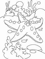 Starfish Coloring Pages Kids Color Outline Bahamas Fish Star Print Rest Popular sketch template